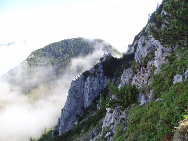 LJUBELJSKA BABA ali KOŠUTICA (1968m) - foto