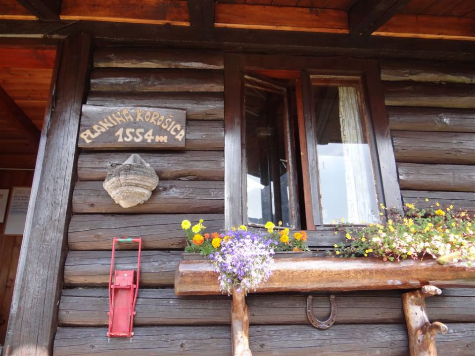 LJUBELJSKA BABA ali KOŠUTICA (1968m) - foto povečava