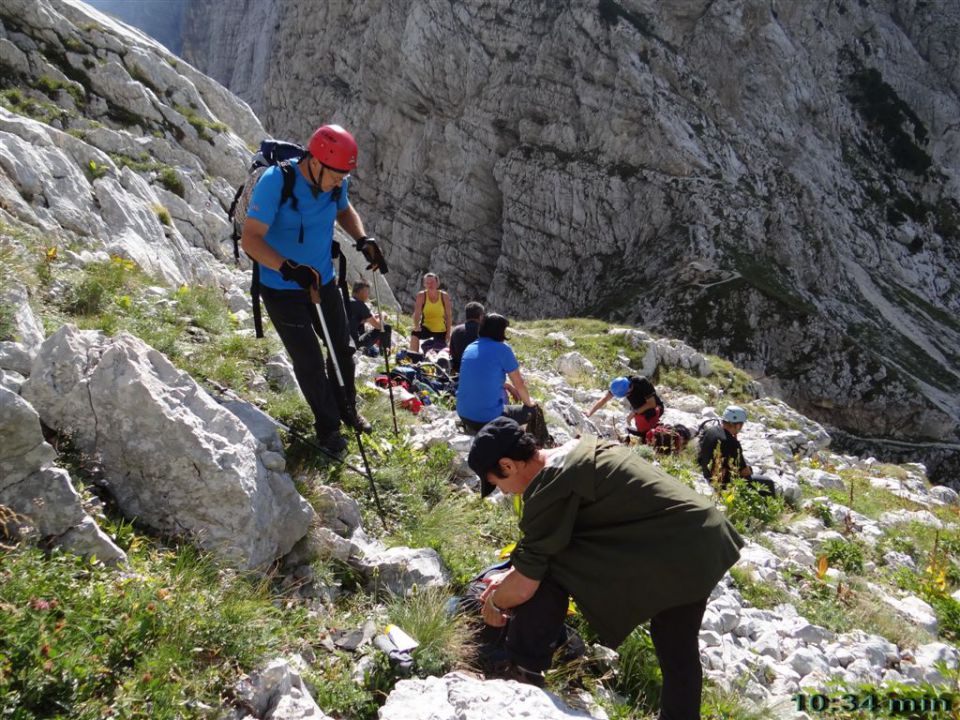 BOVŠKI GAMSOVEC - ŠKRLATICA, 2013 - foto povečava