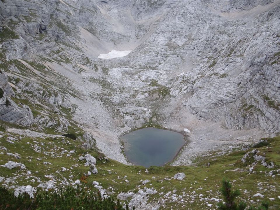 BOVŠKI GAMSOVEC - ŠKRLATICA, 2013 - foto povečava