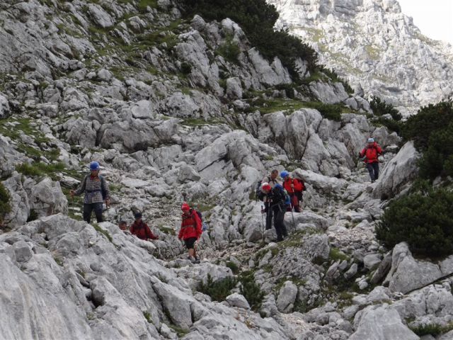 BOVŠKI GAMSOVEC - ŠKRLATICA, 2013 - foto