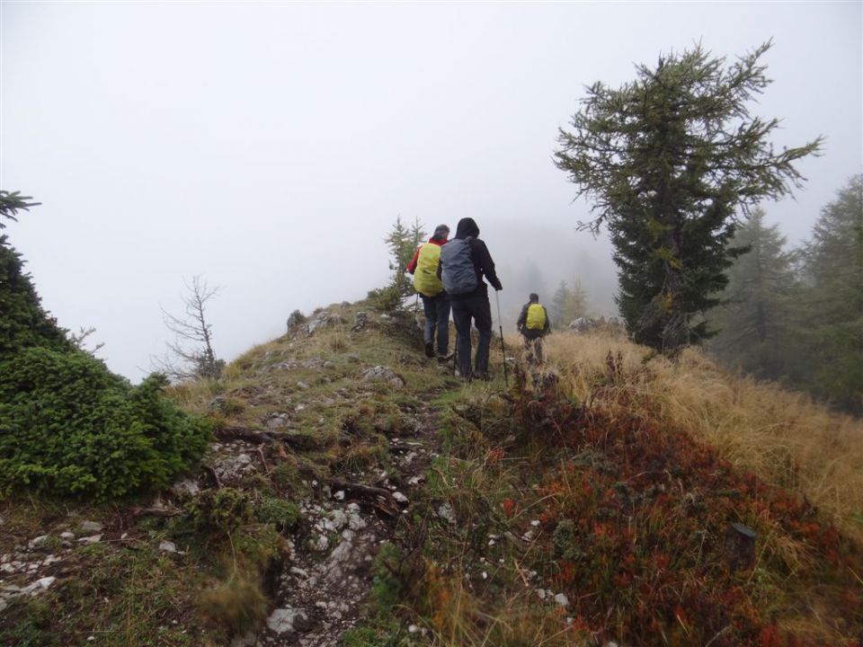 OLŠEVA, 1929m, 6.10.2013 - foto povečava