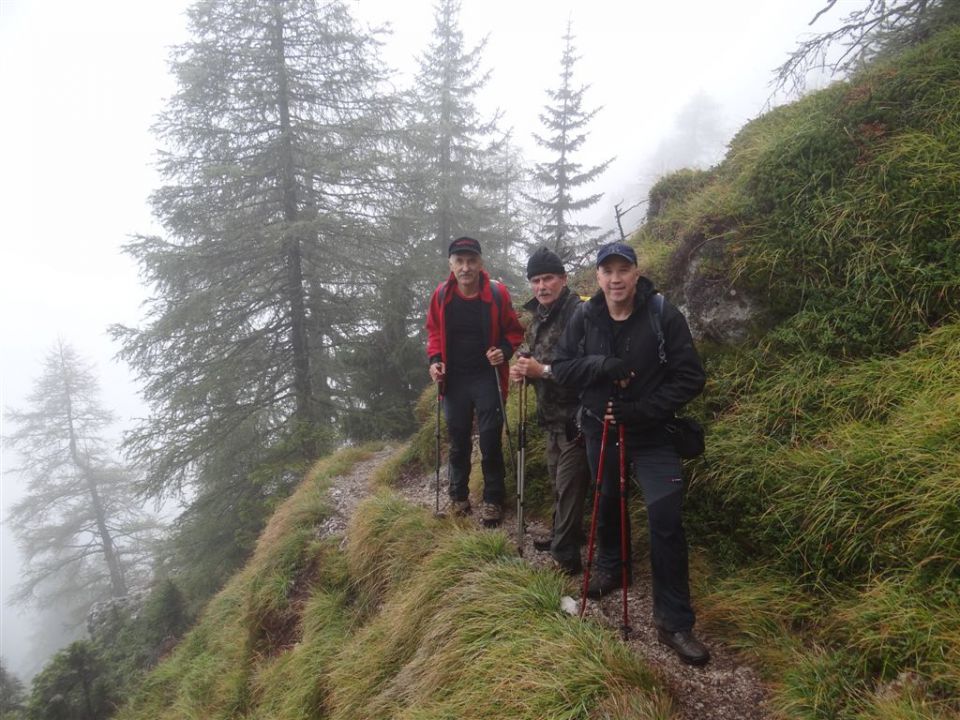 OLŠEVA, 1929m, 6.10.2013 - foto povečava