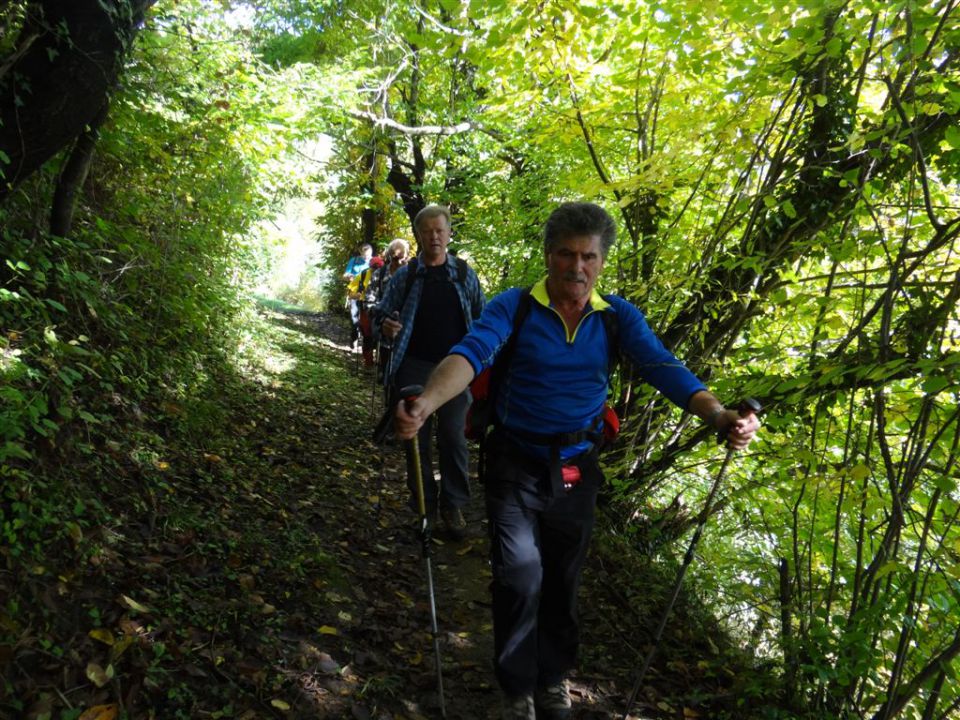 VALTERJEV ABRAHAMOV POHOD, 13.10.2013 - foto povečava