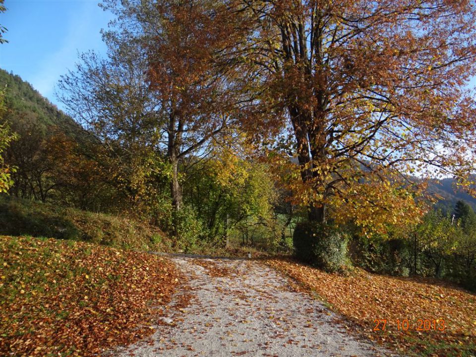 DOBRČA, 1634 m, 27.10.2013 - foto povečava