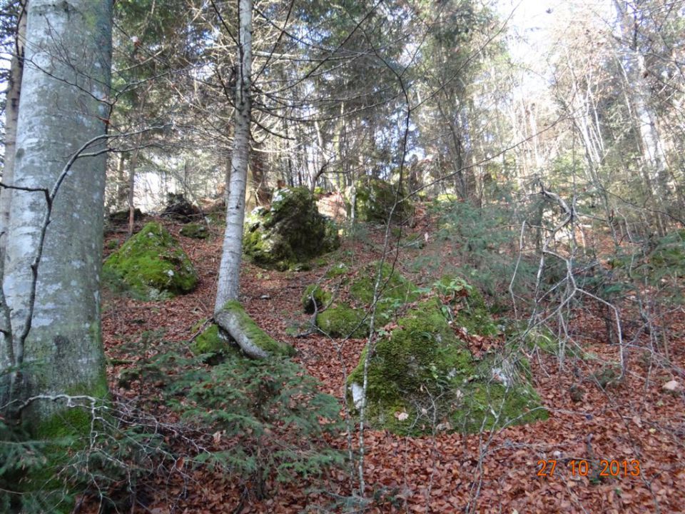 DOBRČA, 1634 m, 27.10.2013 - foto povečava