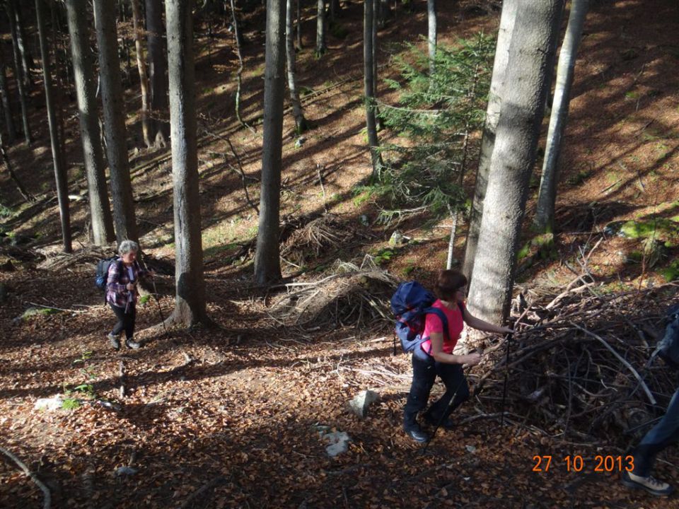 DOBRČA, 1634 m, 27.10.2013 - foto povečava