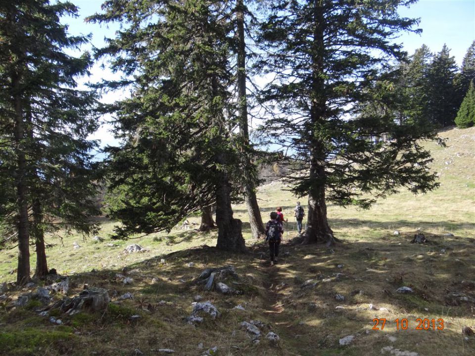 DOBRČA, 1634 m, 27.10.2013 - foto povečava