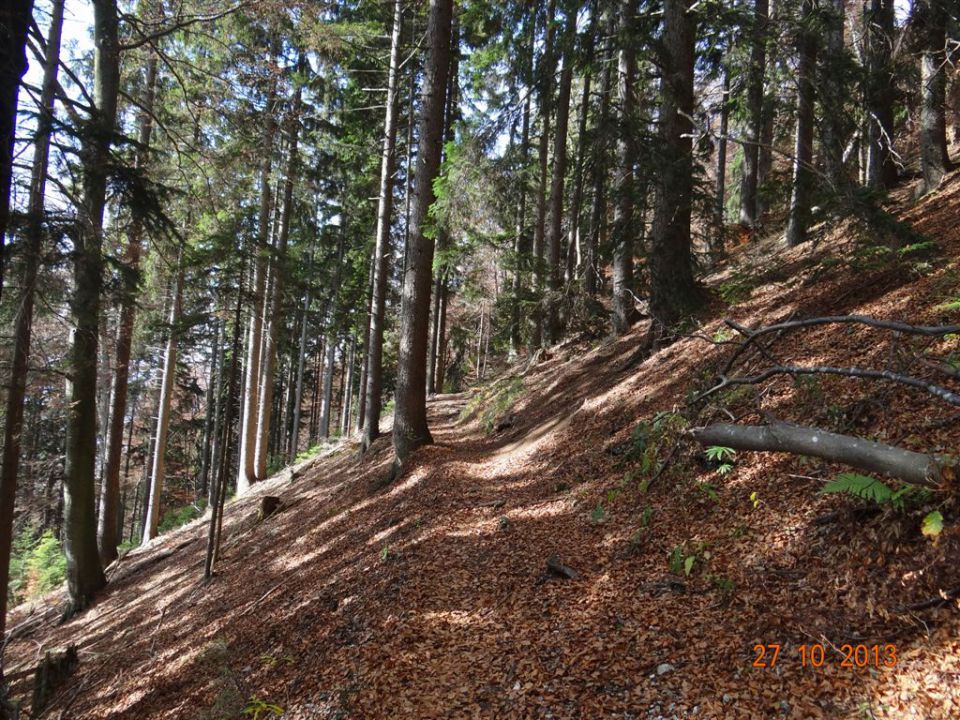 DOBRČA, 1634 m, 27.10.2013 - foto povečava