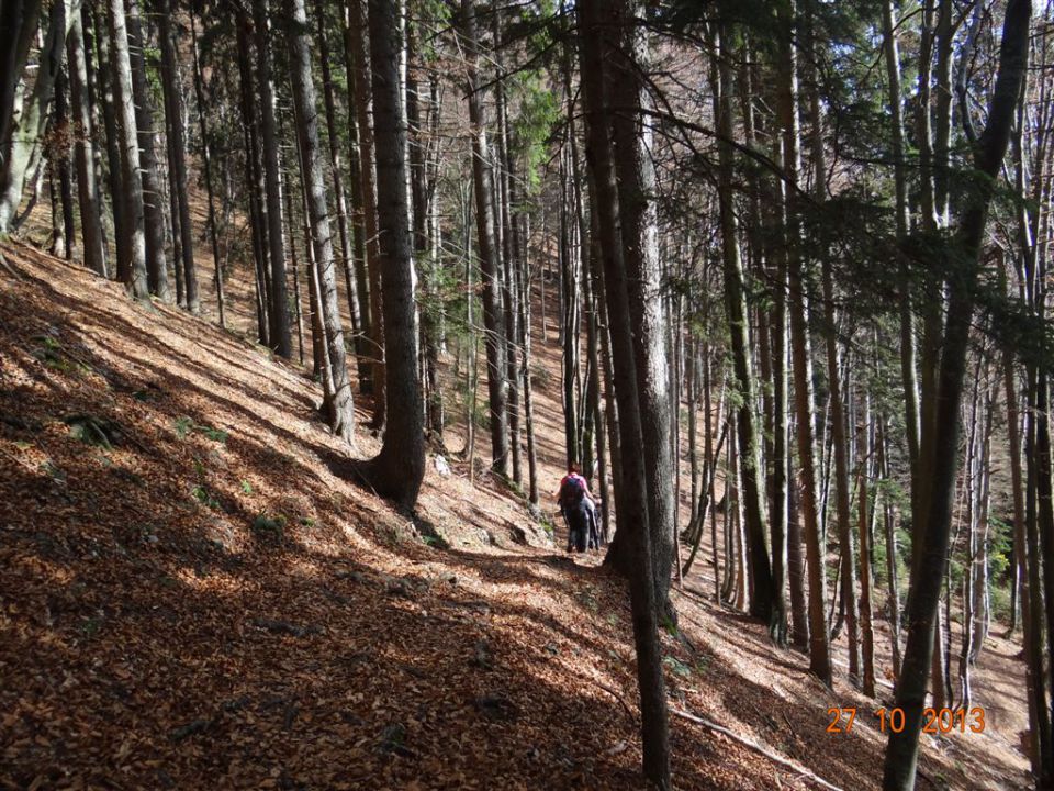 DOBRČA, 1634 m, 27.10.2013 - foto povečava