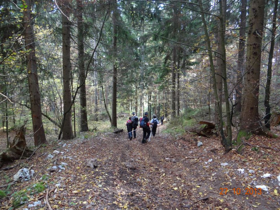 DOBRČA, 1634 m, 27.10.2013 - foto povečava