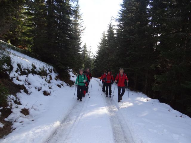 SMREKOVEC - KRNES - KOMEN, 17.11.2013 - foto