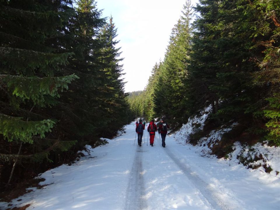 SMREKOVEC - KRNES - KOMEN, 17.11.2013 - foto povečava