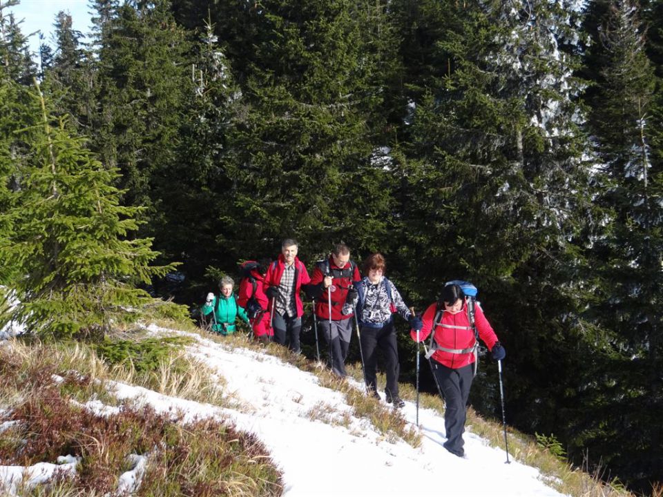 SMREKOVEC - KRNES - KOMEN, 17.11.2013 - foto povečava