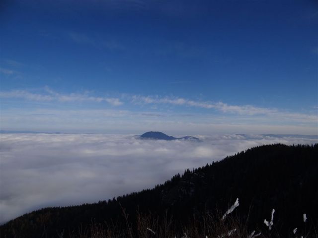 SMREKOVEC - KRNES - KOMEN, 17.11.2013 - foto