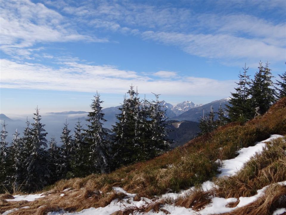 SMREKOVEC - KRNES - KOMEN, 17.11.2013 - foto povečava