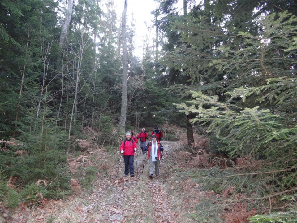 SVETA PLANINA IN JAVOR, 1.12.2013 - foto povečava