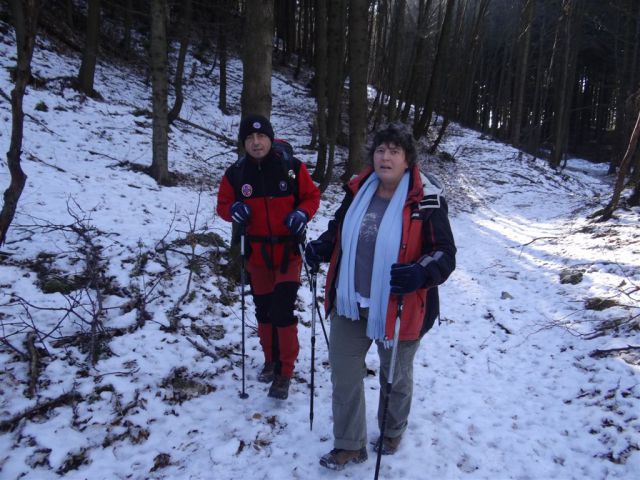 SVETA PLANINA IN JAVOR, 1.12.2013 - foto