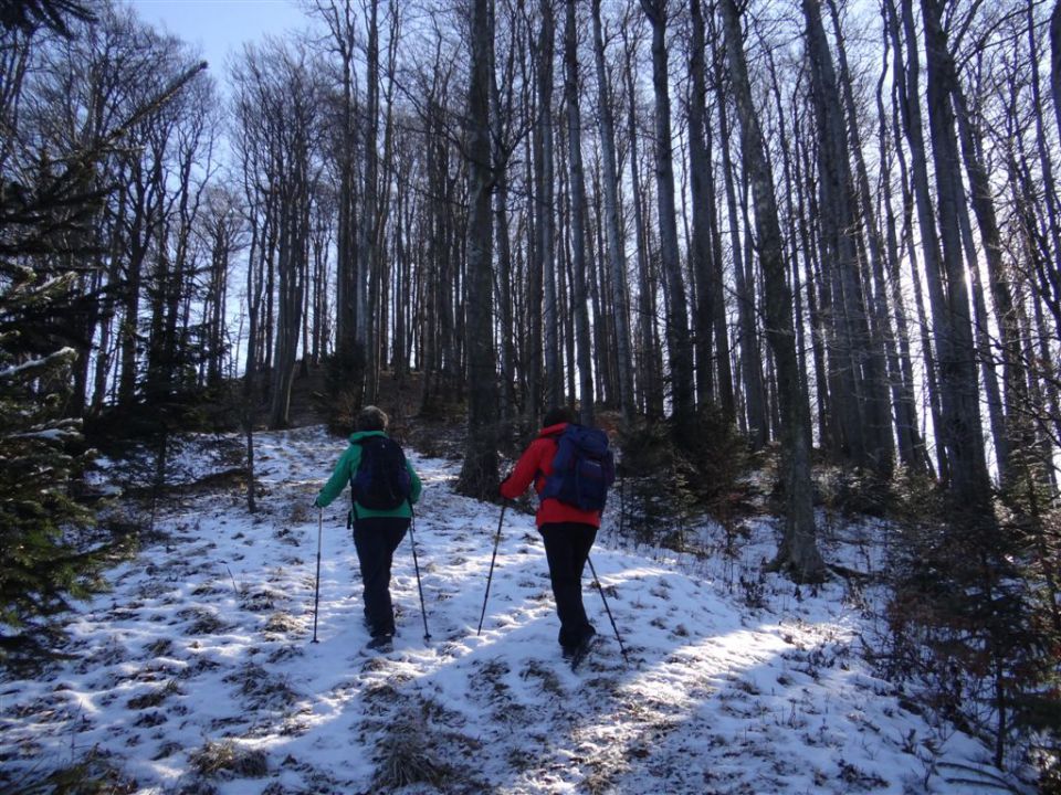 SVETA PLANINA IN JAVOR, 1.12.2013 - foto povečava