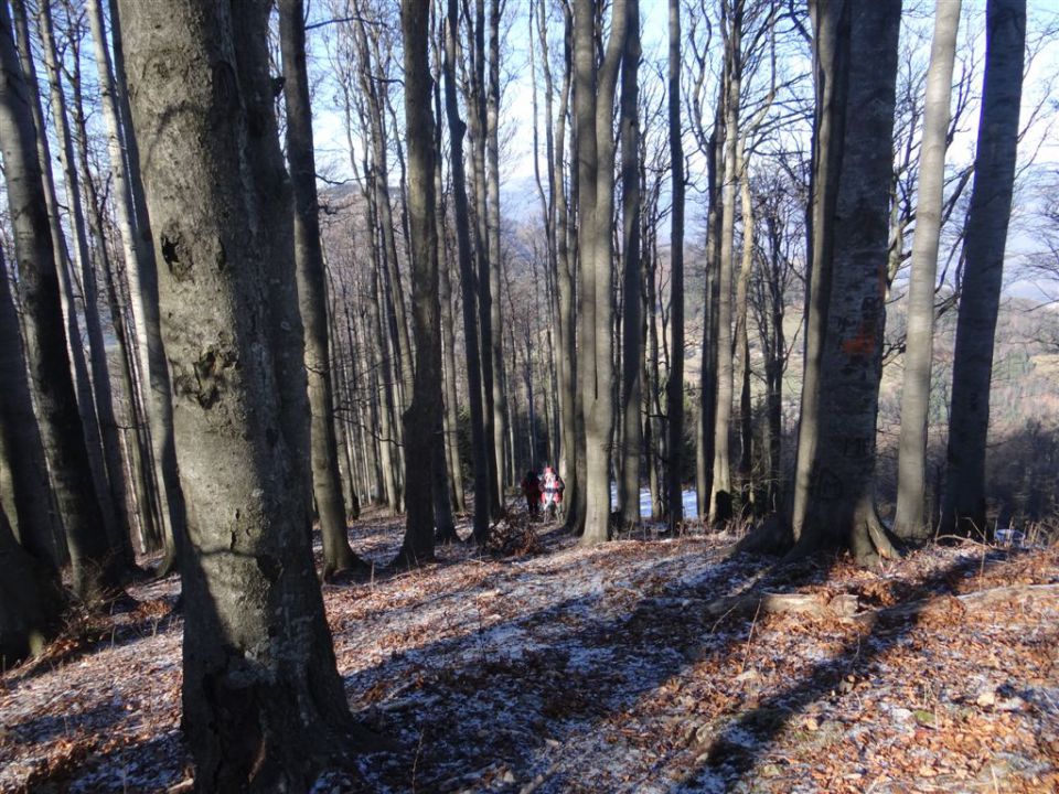 SVETA PLANINA IN JAVOR, 1.12.2013 - foto povečava