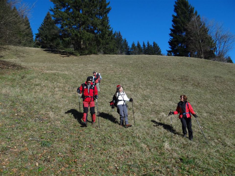 SVETA PLANINA IN JAVOR, 1.12.2013 - foto povečava