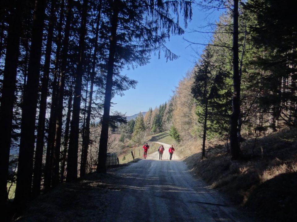 SVETA PLANINA IN JAVOR, 1.12.2013 - foto povečava