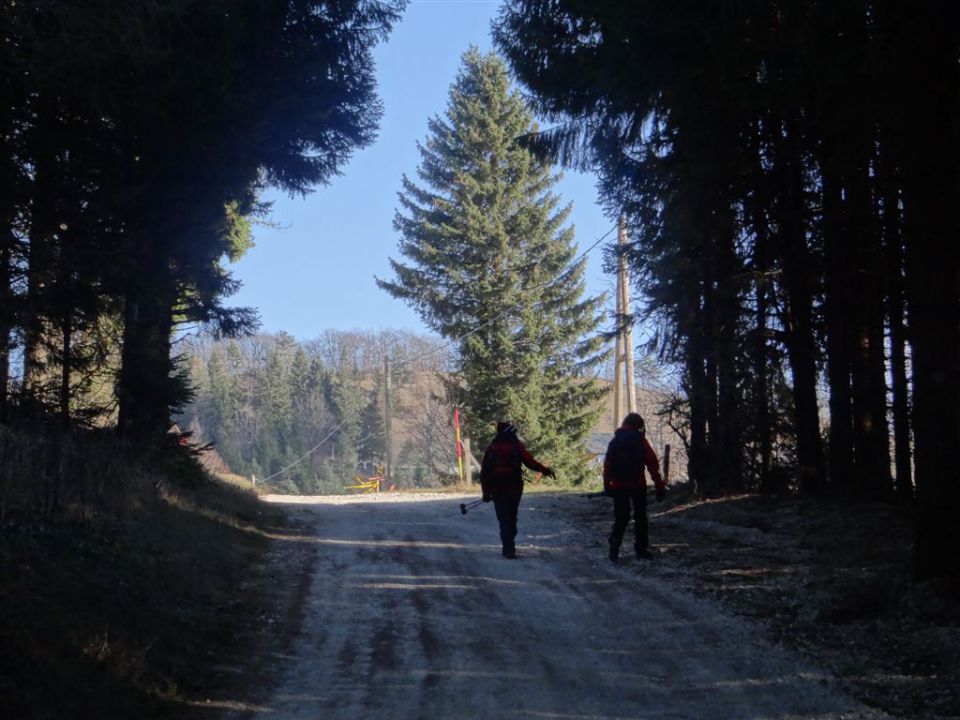 SVETA PLANINA IN JAVOR, 1.12.2013 - foto povečava