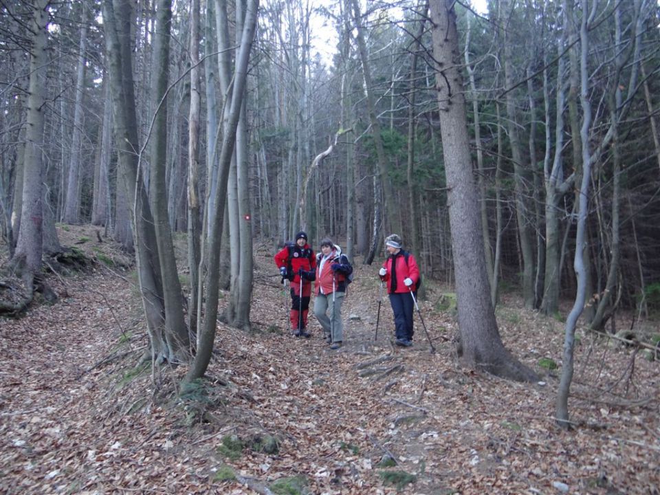 SVETA PLANINA IN JAVOR, 1.12.2013 - foto povečava