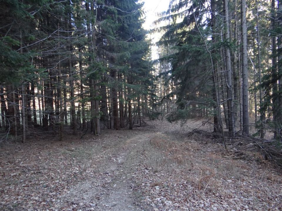 SVETA PLANINA IN JAVOR, 1.12.2013 - foto povečava