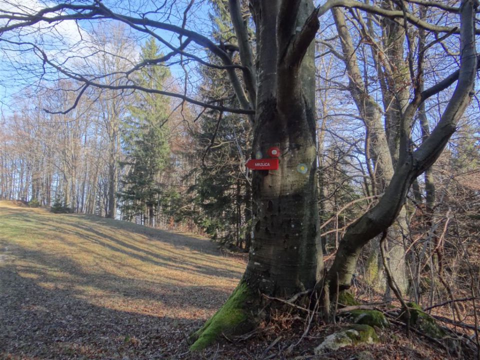 SVETA PLANINA IN JAVOR, 1.12.2013 - foto povečava