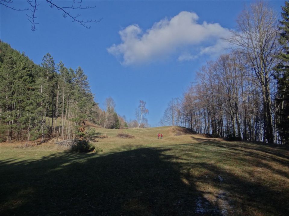 SVETA PLANINA IN JAVOR, 1.12.2013 - foto povečava