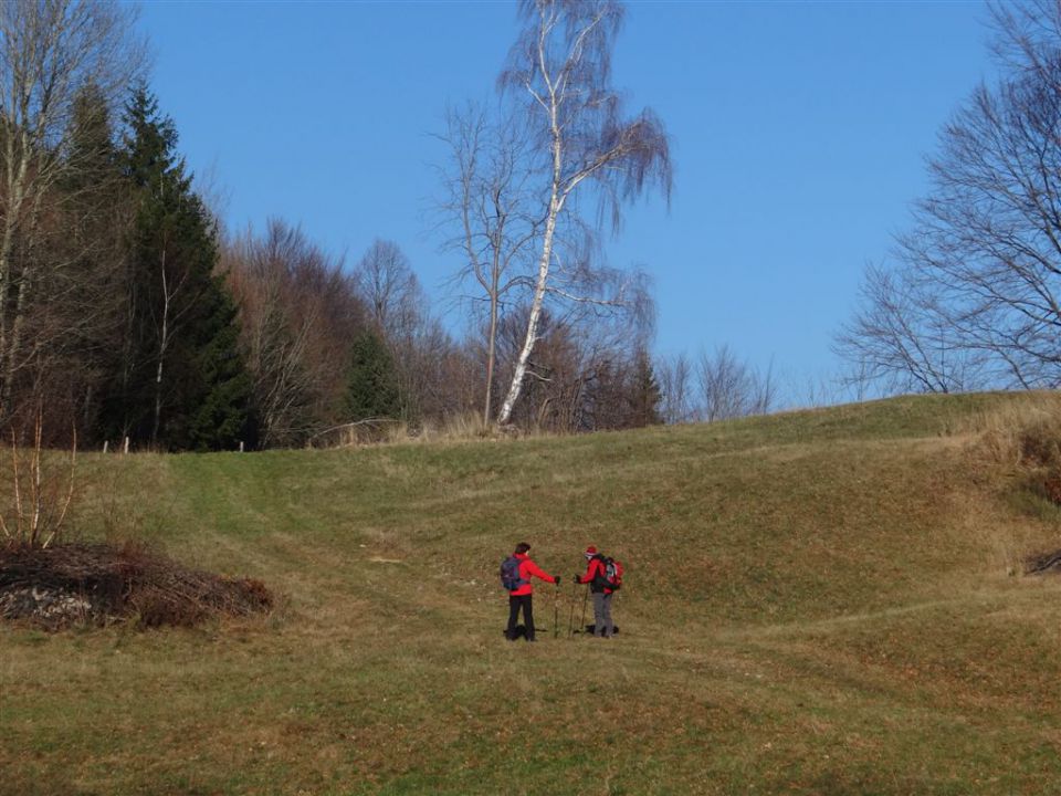 SVETA PLANINA IN JAVOR, 1.12.2013 - foto povečava