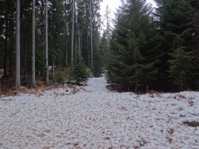 URŠLJA GORA, 1699 m, 8.12.2013 - foto