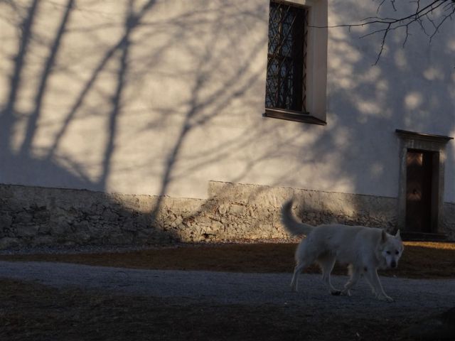 ŠMOHOR - MRZLICA in KAL, 15.12.2013 - foto