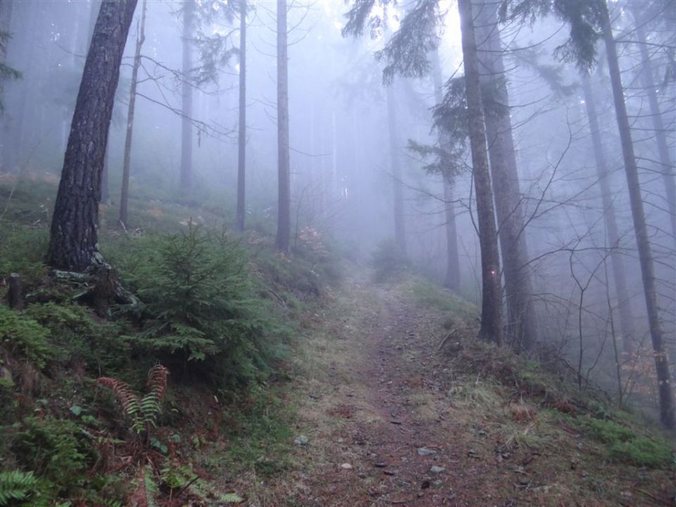 RIBNIŠKA KOČA IN GRMOVŠKOV DOM - foto povečava