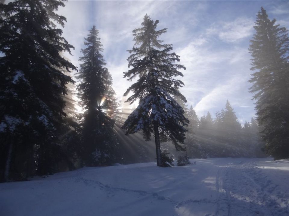 RIBNIŠKA KOČA IN GRMOVŠKOV DOM - foto povečava