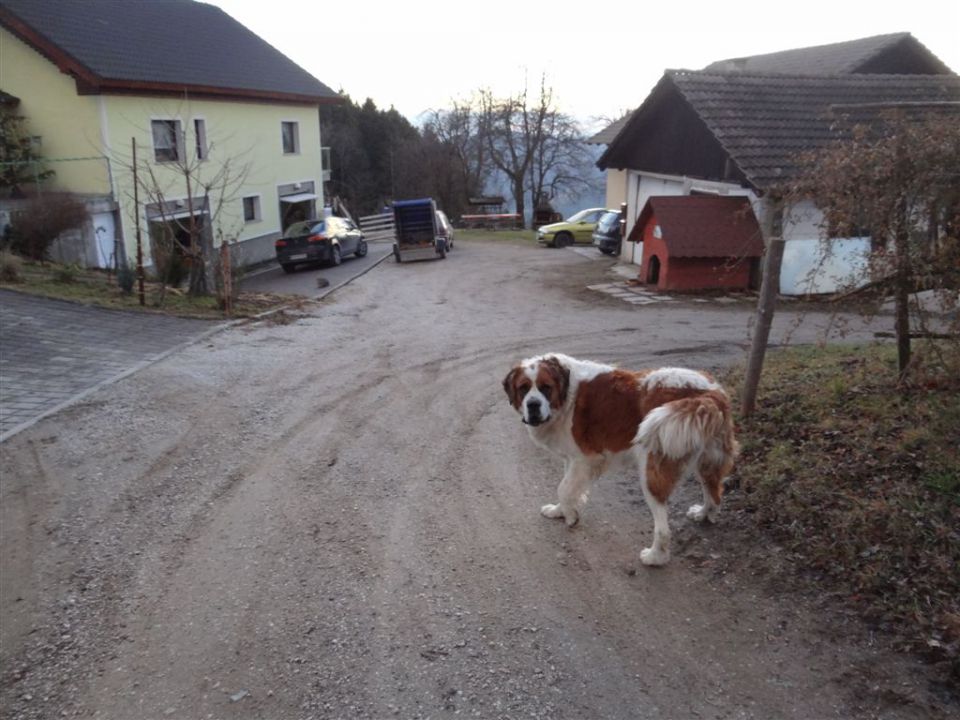 RIBNIŠKA KOČA IN GRMOVŠKOV DOM - foto povečava