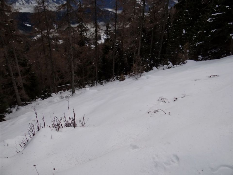 PECA, 2125 m, 4.1.2014 - foto povečava