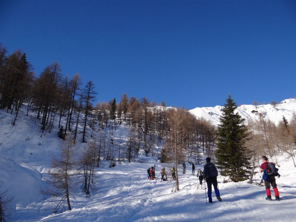 VIŠEVNIK, 2050 m - 12.1.2014 - foto povečava