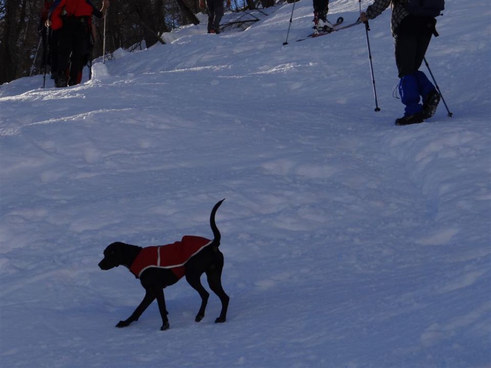 VIŠEVNIK, 2050 m - 12.1.2014 - foto povečava