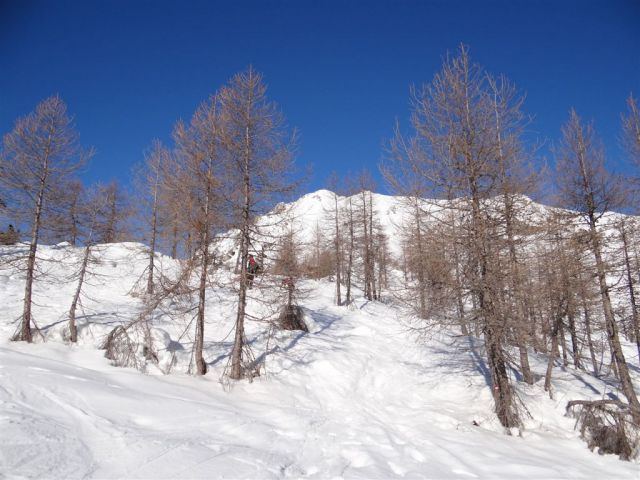 VIŠEVNIK, 2050 m - 12.1.2014 - foto