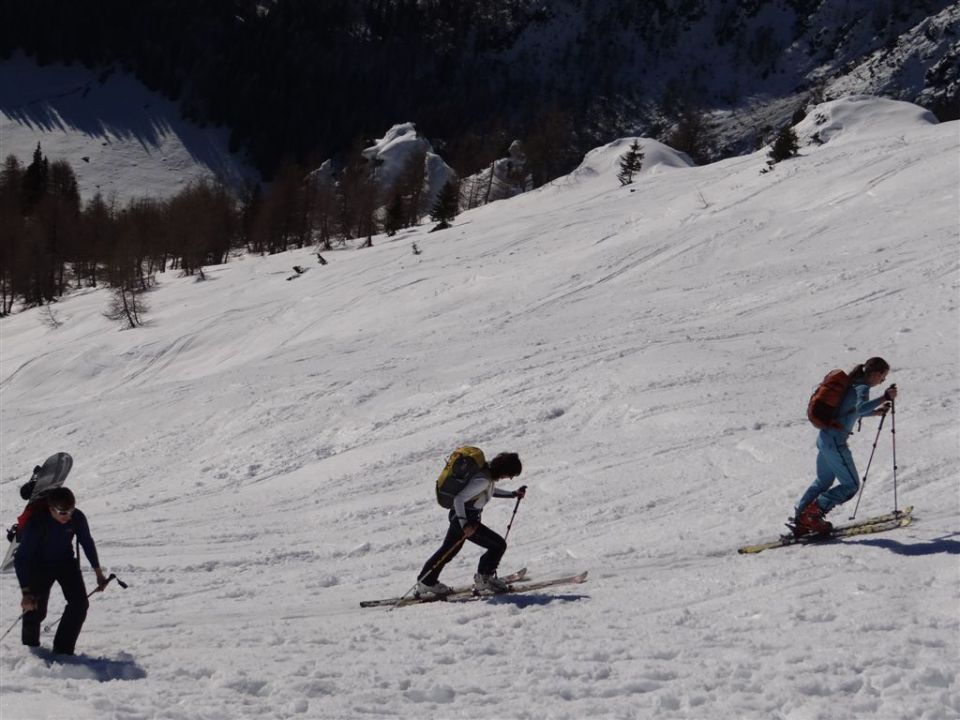 VIŠEVNIK, 2050 m - 12.1.2014 - foto povečava