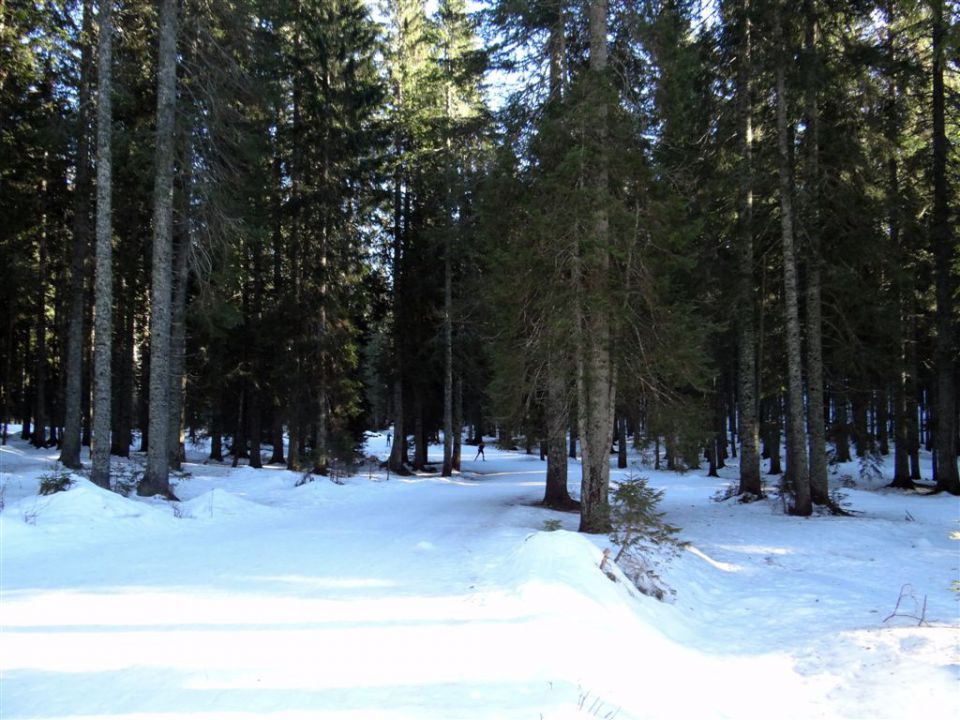 VIŠEVNIK, 2050 m - 12.1.2014 - foto povečava