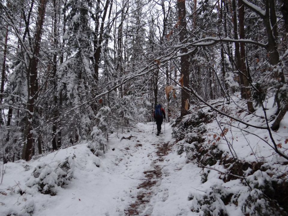 JEVNICA - Sv. MIKLAVŽ - GEOSS - KRESNICE - foto povečava