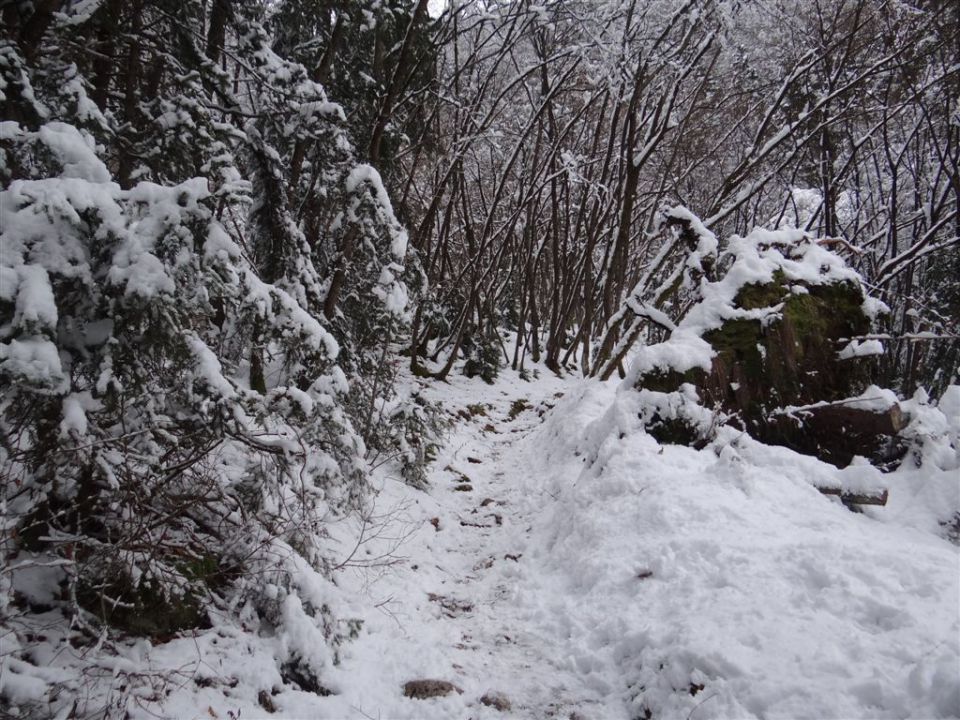 JEVNICA - Sv. MIKLAVŽ - GEOSS - KRESNICE - foto povečava