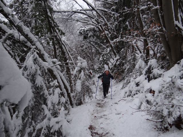 JEVNICA - Sv. MIKLAVŽ - GEOSS - KRESNICE - foto