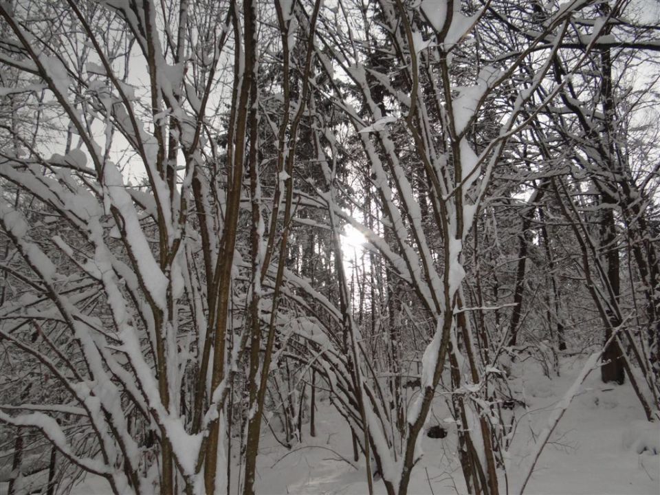 JEVNICA - Sv. MIKLAVŽ - GEOSS - KRESNICE - foto povečava