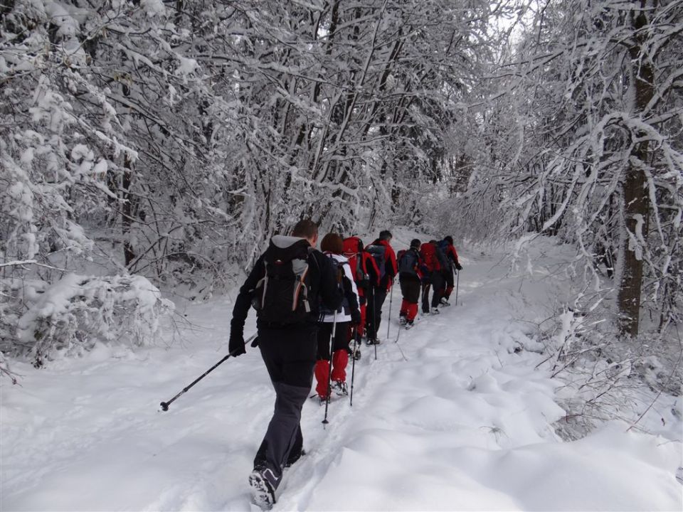 JEVNICA - Sv. MIKLAVŽ - GEOSS - KRESNICE - foto povečava