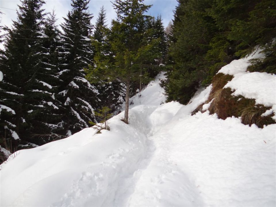 GOLTE, 15.2.2014 - foto povečava