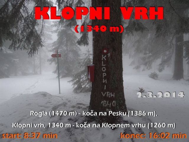 ROGLA - KLOPNI VRH, 2.3.2014 - foto